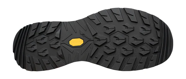 Men's Renegade Evo GTX Lo - Image 4