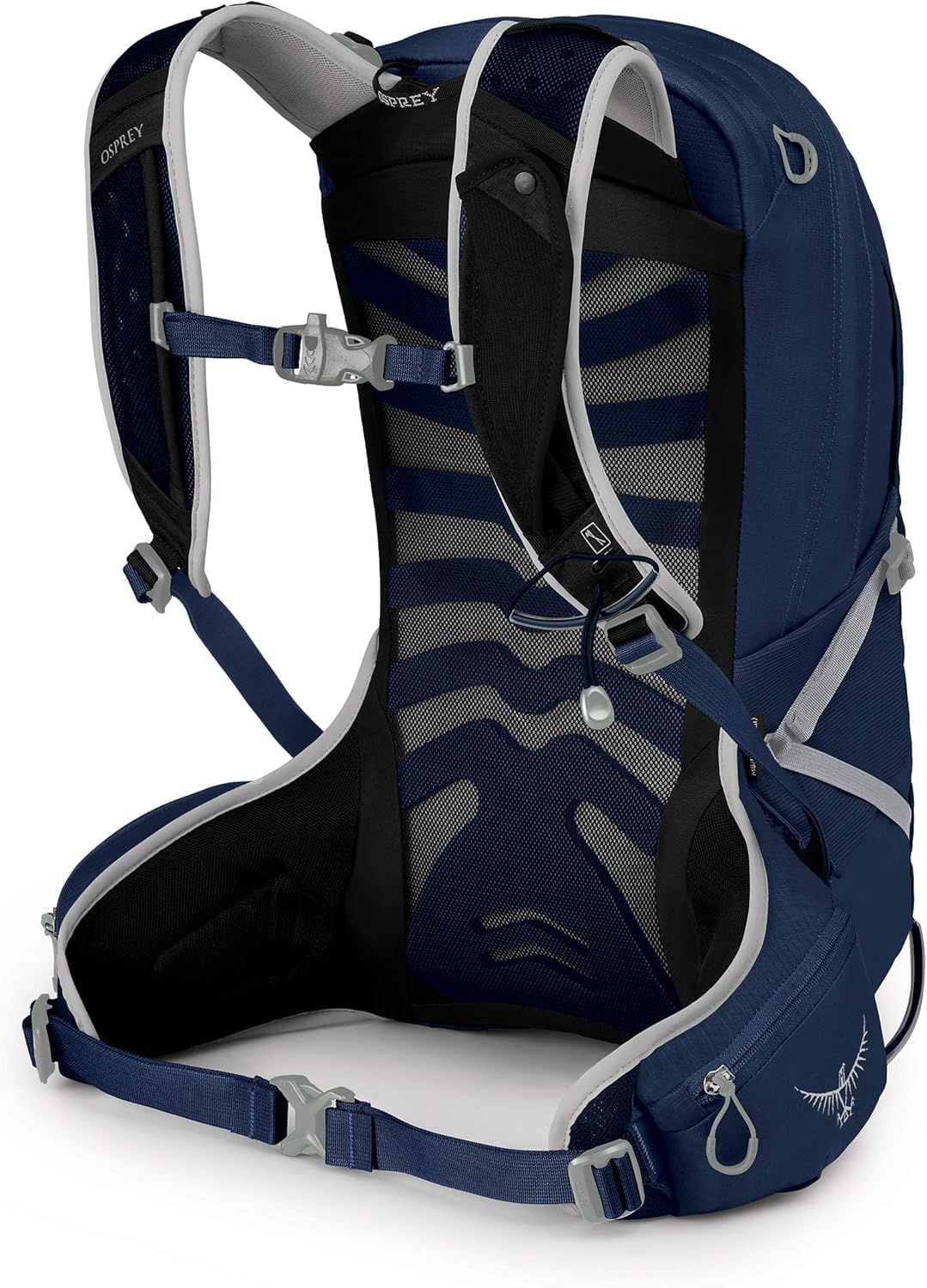 Talon 11 - Prior Season - Image 2